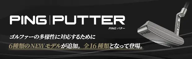 PING パター