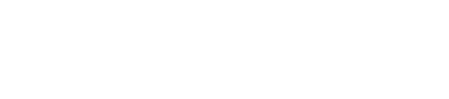 i540