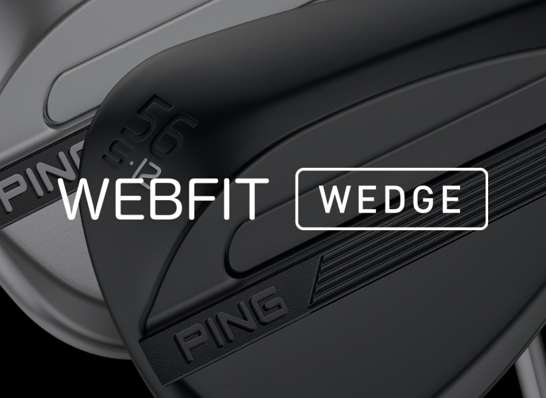 WEB FIT