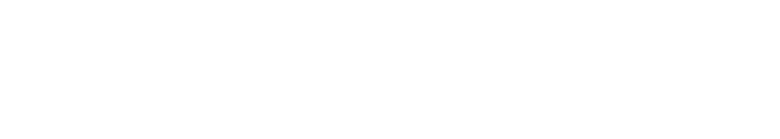 i540
